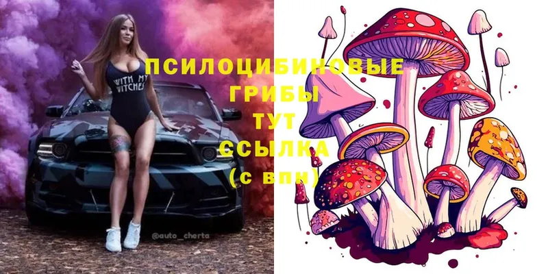 Галлюциногенные грибы MAGIC MUSHROOMS  Сатка 